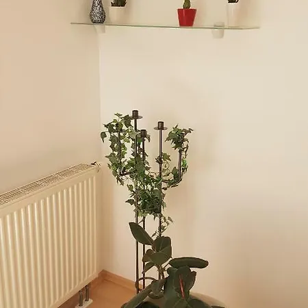Evi's Ratyzbona