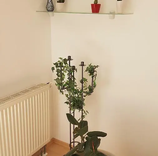Evi's Regensburg